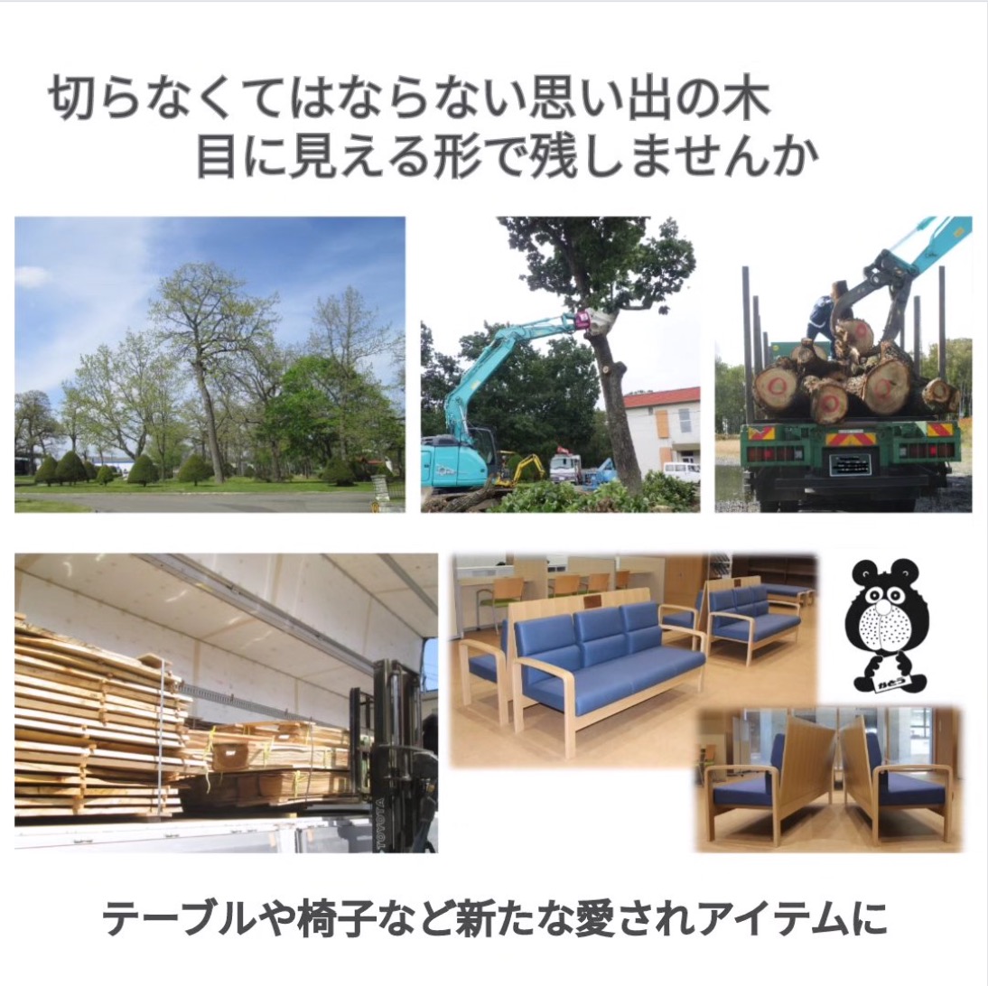 公園の伐採木を家具として蘇らせました