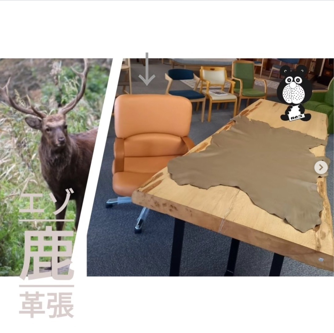 地域資源であるエゾシカ革を家具の張り替えに活用